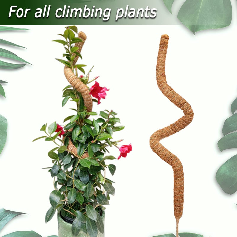 Soupiar 2 Pack Moss Pole  28 Inch Bendable Moss Pole for Plants Monstera  Moss Poles for Climbing Plants Indoor  Coir Plant Pole Sticks Support Stakes for Potted Plants  Pothos  Philodendron - Image 4